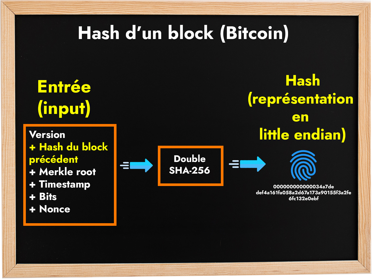 Schema du hash d'un block bitcoin