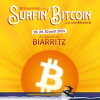 surfin-bitcoin-2024-thumbnail